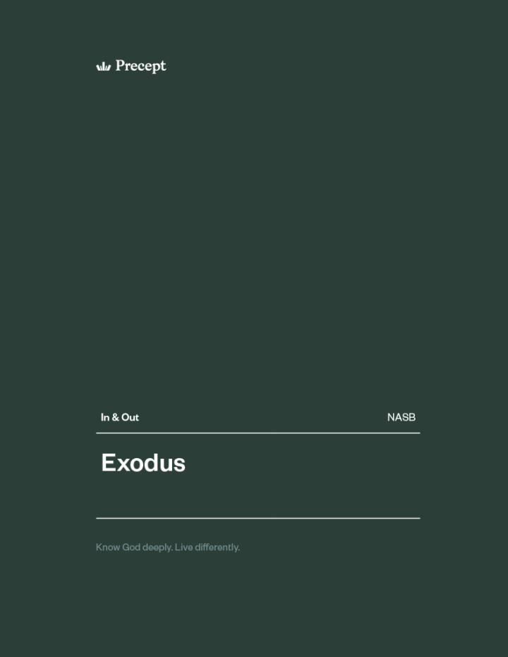 Exodus In & Out