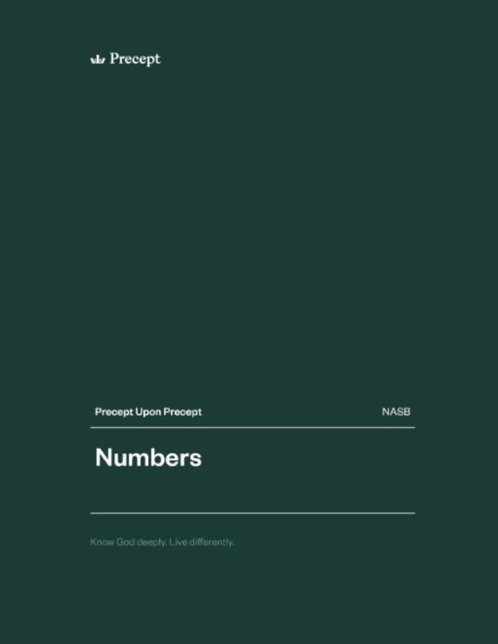 Numbers Precept Upon Precept