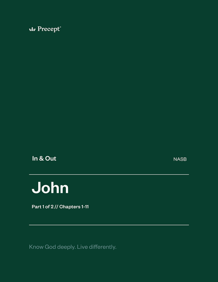 John Part 1 In & Out workbook cover (NASB)
