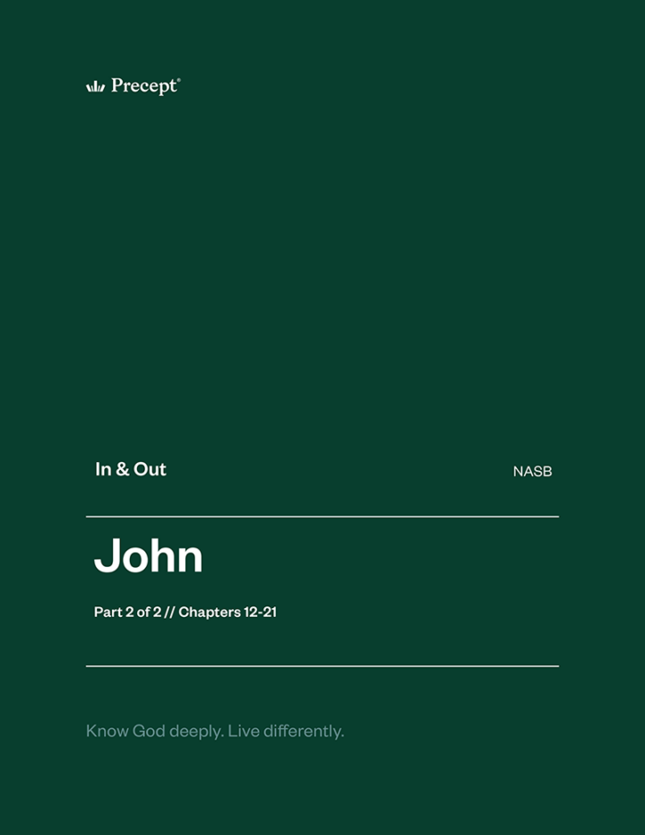John Part 2 In & Out workbook cover (NASB)