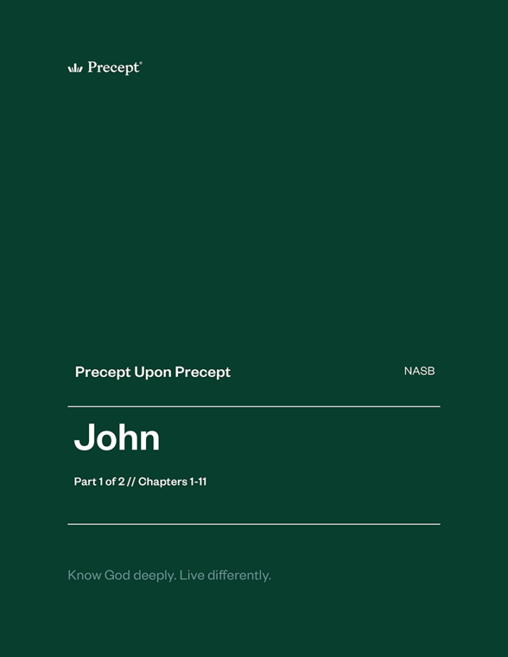 John Part 1 Precept Upon Precept workbook cover (NASB)