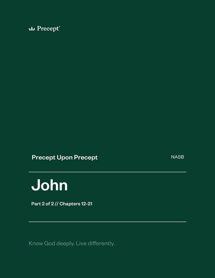 John Part 2 Precept Upon Precept workbook cover (NASB)