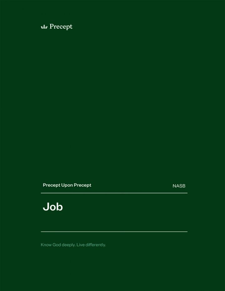 Job Precept Upon Precept Bible study, New American Standard Bible (NASB)